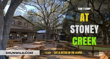 Camping at Stoney Creek: Rules, Tips, and What to Expect