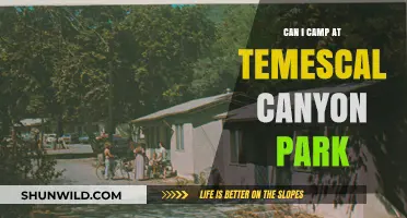 Camping at Temescal Canyon Park: Rules, Tips, and What to Expect