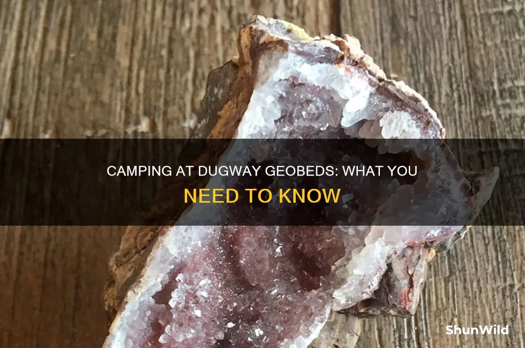 can i camp at the dougway geobeds