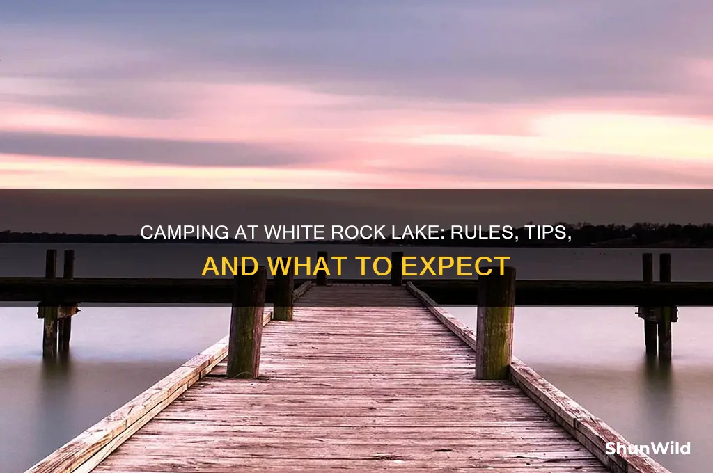 can i camp at white rock lake