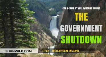 Camping in Yellowstone: What Happens During a Government Shutdown?