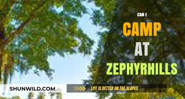 Camping in Zephyrhills: A Guide to Rules, Spots, and Tips