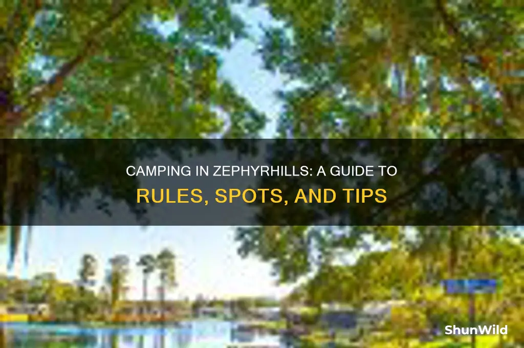 can i camp at zephyrhills