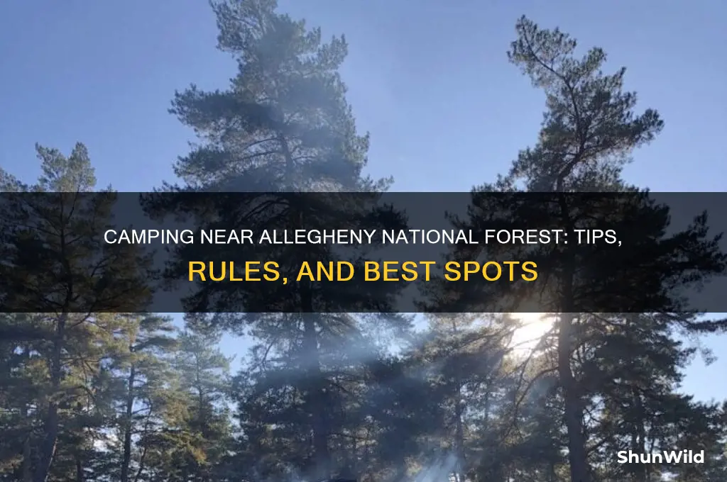 can i camp by alegaheny national forest