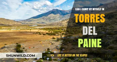 Solo Camping in Torres del Paine: A Beginner's Guide