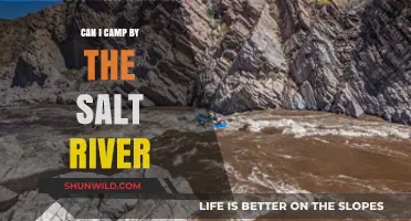 Camping by the Salt River: Tips, Rules, and Best Spots