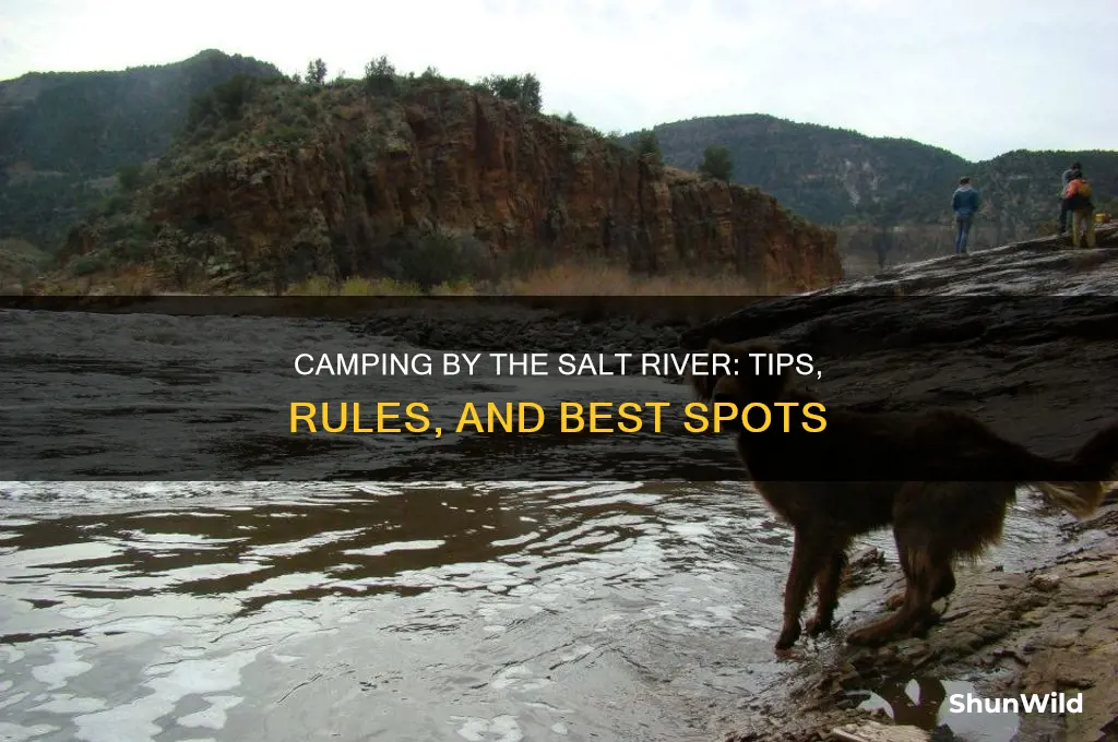 can i camp by the salt river