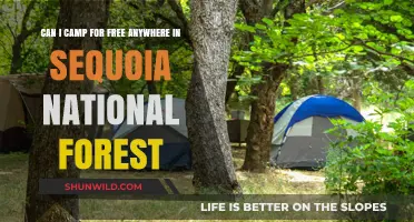 Free Camping in Sequoia National Forest: Rules, Tips, and Locations