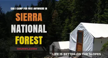 Free Camping in Sierra National Forest: Rules, Tips, and Locations