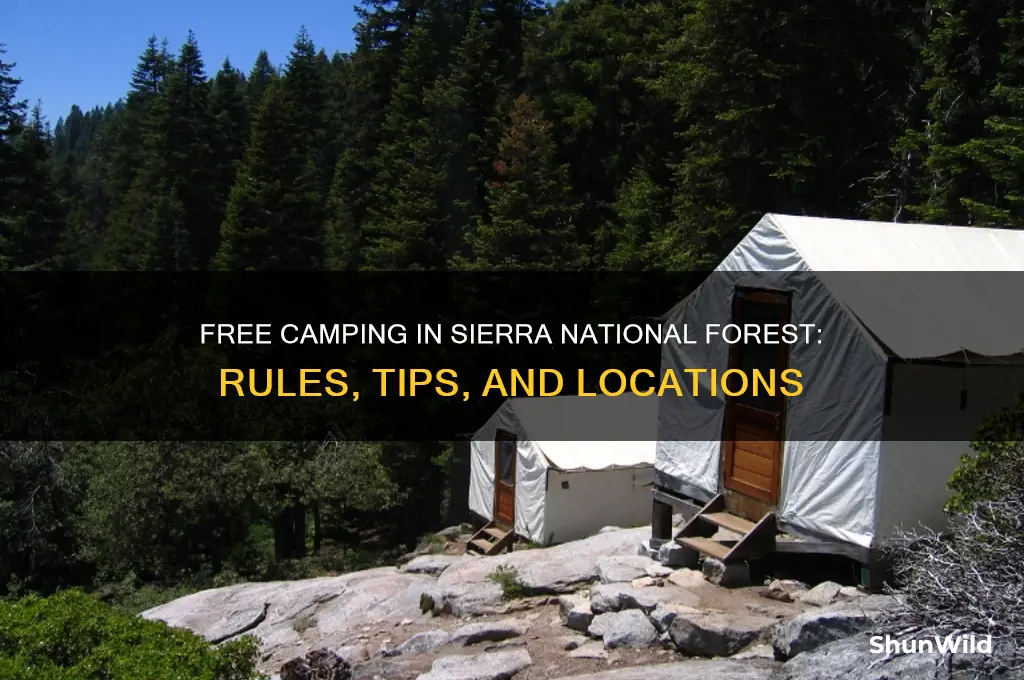 can i camp for free anywhere in sierra national forest