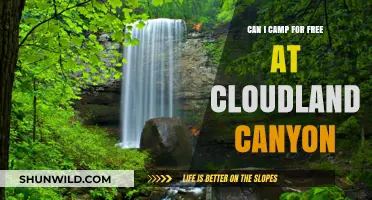 Free Camping at Cloudland Canyon: Tips and Guidelines for Visitors