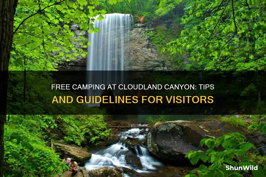 can i camp for free at cloudland canyon