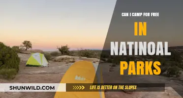 Free Camping in National Parks: Rules, Tips, and Best Practices