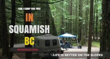 Free Camping in Squamish, BC: Tips, Locations, and Regulations