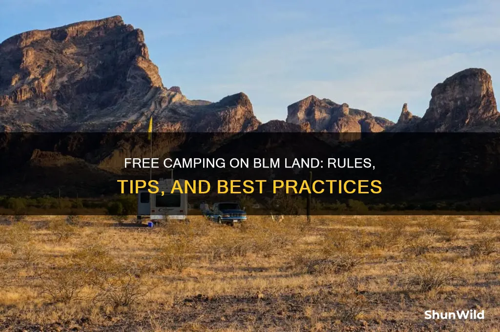 can i camp for free on blm land