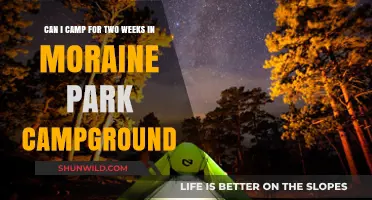 Two-Week Camping Adventure: Moraine Park Campground Guide and Tips