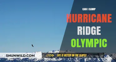 Camping at Hurricane Ridge: Olympic National Park Guide & Tips