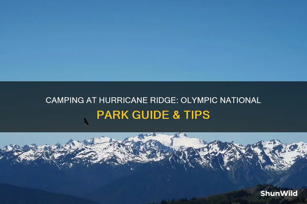 can i camp hurricane ridge olympic