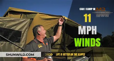 Camping in 11 MPH Winds: Tips for a Safe Adventure