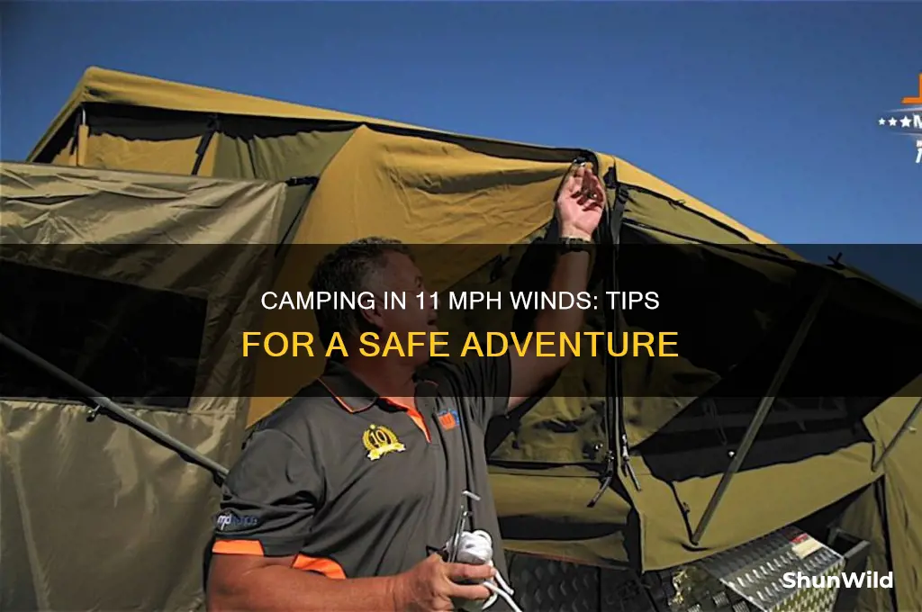 can i camp in 11 mph winds