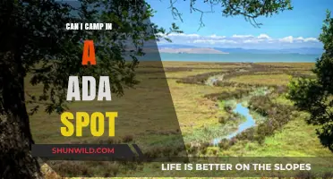 Can You Camp in an ADA Spot? Rules and Etiquette Explained