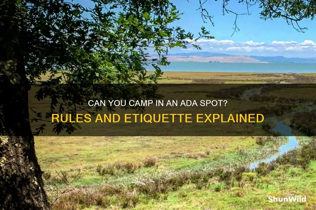 can i camp in a ada spot