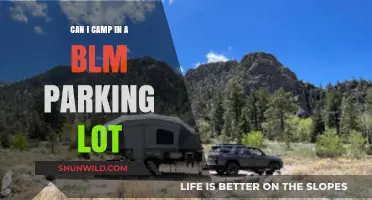 Camping in BLM Parking Lots: Rules, Tips, and What to Know