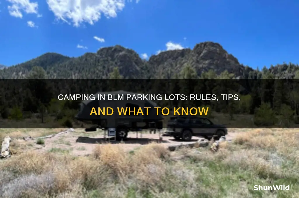can i camp in a blm parking lot