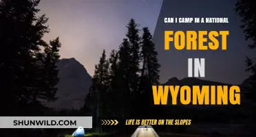 Camping in Wyoming's National Forests: Rules, Tips, and Best Spots