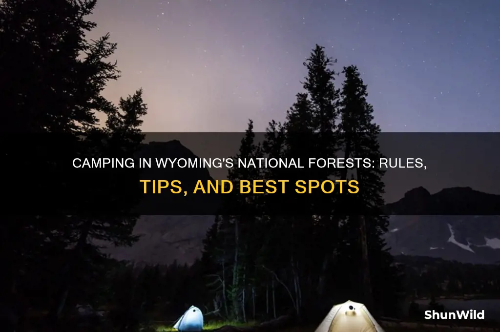 can i camp in a national forest in wyoming
