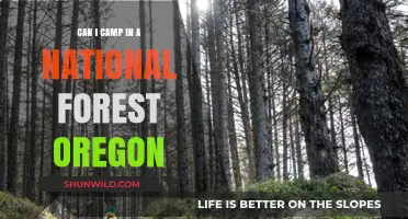 Camping in Oregon's National Forests: Rules, Tips, and Best Spots