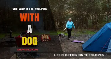 Camping with Your Dog in National Parks: Rules and Tips