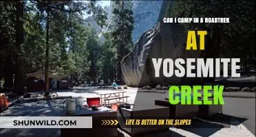 Camping in a Roadtrek at Yosemite Creek: What You Need to Know