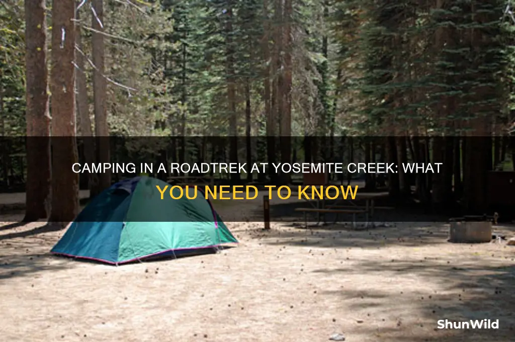 can i camp in a roadtrek at yosemite creek