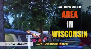 Camping in Wisconsin's Wildlife Areas: Rules, Tips, and Best Spots