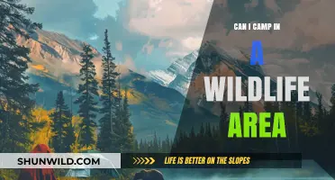 Camping in Wildlife Areas: Rules, Safety, and Ethical Considerations