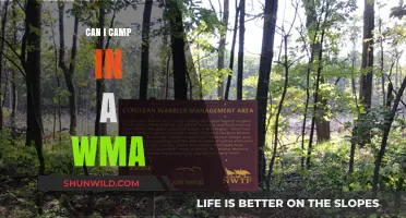 Camping in a WMA: Rules, Tips, and What You Need to Know