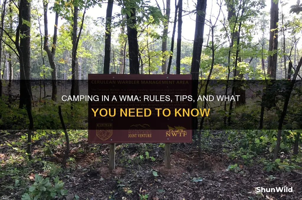 can i camp in a wma