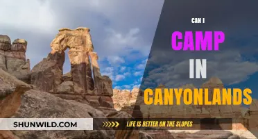 Camping in Canyonlands: Tips, Rules, and Best Spots for Adventure