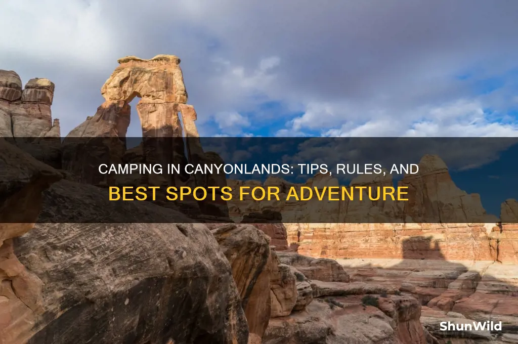can i camp in canyonlands
