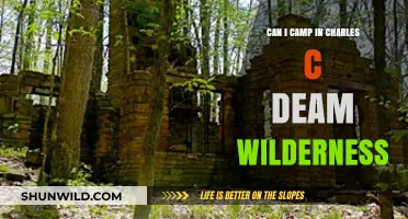 Camping in Charles C. Deam Wilderness: Rules, Tips, and Essentials