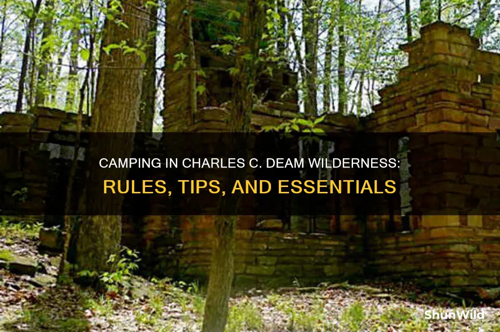 can i camp in charles c deam wilderness
