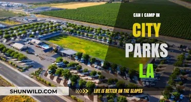 Camping in LA City Parks: Rules, Permits, and Best Spots