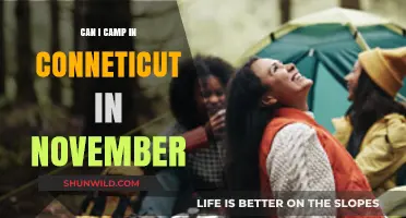 November Camping in Connecticut: Tips for a Cozy Outdoor Adventure