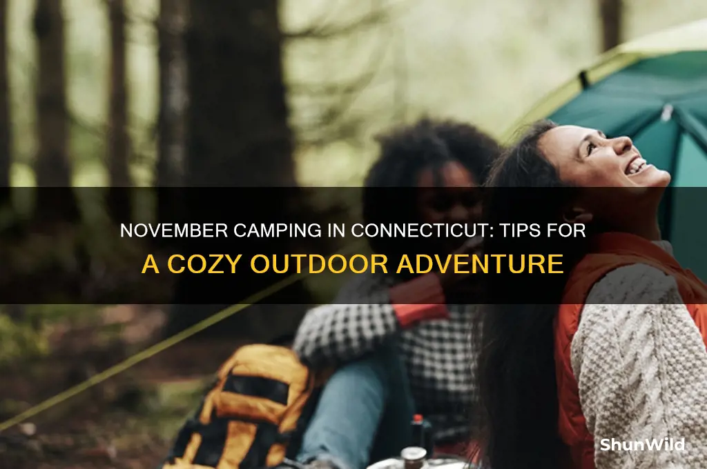 can i camp in conneticut in november