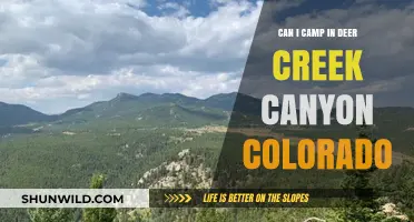 Camping in Deer Creek Canyon, Colorado: Rules, Tips, and Best Spots