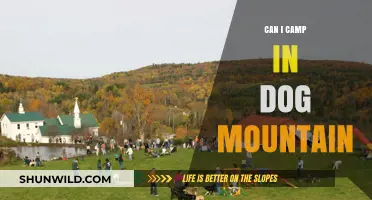 Camping on Dog Mountain: Rules, Tips, and What to Expect
