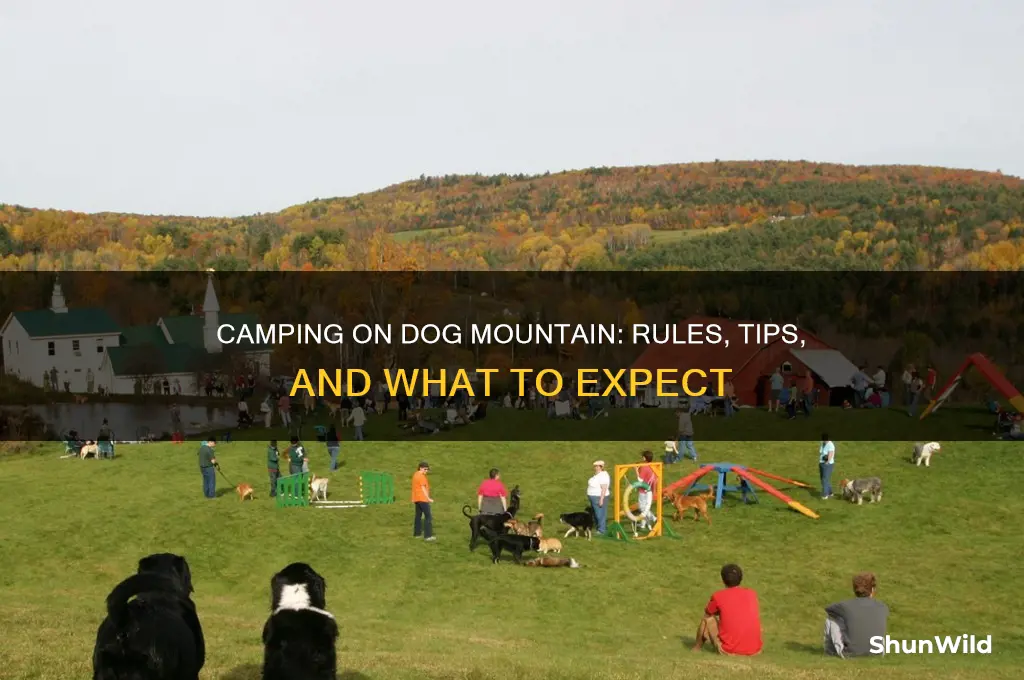 can i camp in dog mountain