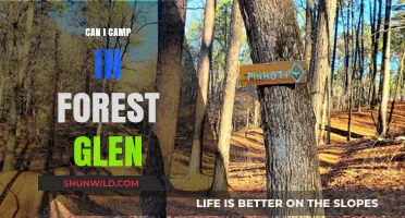 Exploring Forest Glen: Camping Rules, Tips, and Best Spots Guide