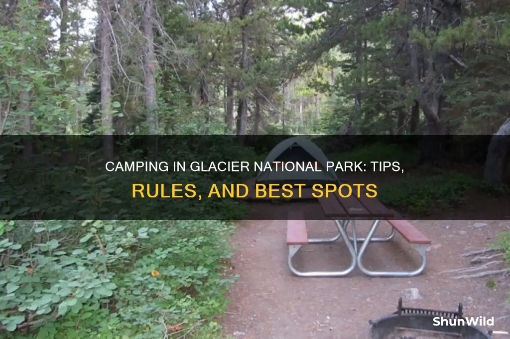 can i camp in glacier national park